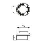 Bosch H11 halogen bulb - Pure Light